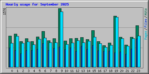 Hourly usage for September 2025