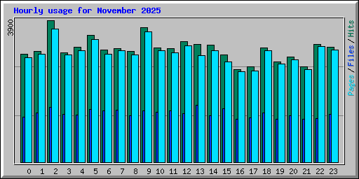 Hourly usage for November 2025