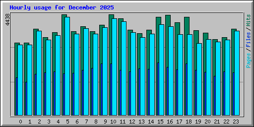 Hourly usage for December 2025
