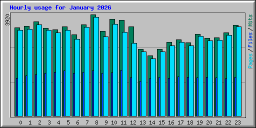 Hourly usage for January 2026