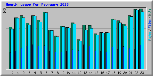 Hourly usage for February 2026